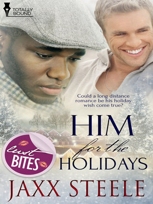 cover image of Him for the Holidays